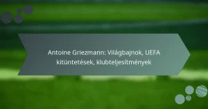 Antoine Griezmann: Világbajnok, UEFA kitüntetések, klubteljesítmények