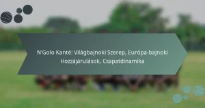N’Golo Kanté: Világbajnoki Szerep, Európa-bajnoki Hozzájárulások, Csapatdinamika