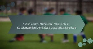 Yohan Cabaye: Nemzetközi Megjelenések, Kulcsfontosságú Mérkőzések, Csapat Hozzájárulások