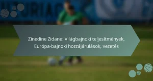 Zinedine Zidane: Világbajnoki teljesítmények, Európa-bajnoki hozzájárulások, vezetés